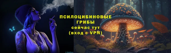 ECSTASY Балабаново