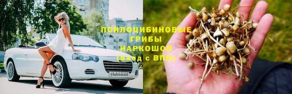 сатива Балахна