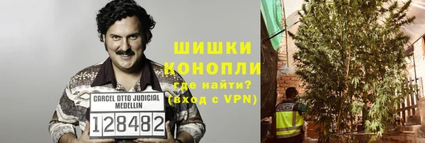 сатива Балахна