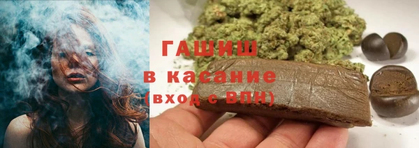 сатива Балахна