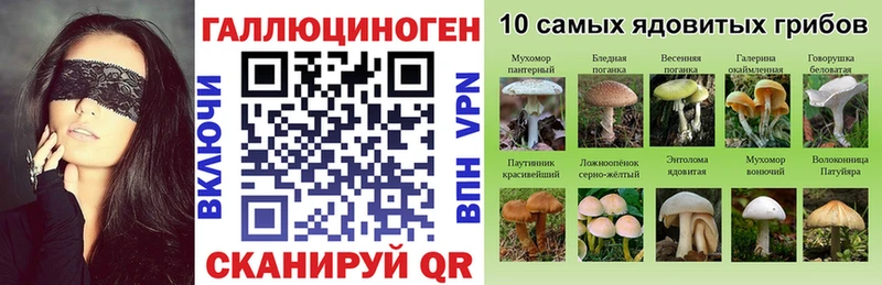 Галлюциногенные грибы Psilocybine cubensis  Катав-Ивановск 